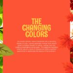 Happy Fall Season Template - Science slide to explain the biological process of autumn leaf color change