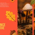 Happy Fall Season Template - Wildlife slide to present how animals adapt and prepare for winter during autumn