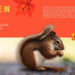 Happy Fall Season Template - Harvest slide to showcase autumn crops and agricultural traditions with rich photography