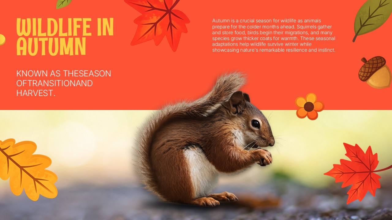 Happy Fall Season Template - Harvest slide to showcase autumn crops and agricultural traditions with rich photography