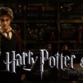 Harry Potter Hogwarts Template - mosaic overview slide with character imagery, slide thumbnails grid, and title logo
