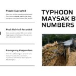 Typhoon Maysak Template - Impact statistics slide to present key disaster metrics like evacuations and rainfall