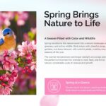 Welcome Spring Template - Content slide with bluebird photo, nature text, and pink Spring at a Glance callout