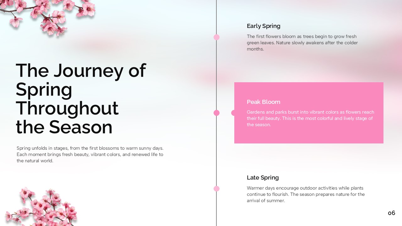 Welcome Spring Template - Timeline slide showing Early Spring, Peak Bloom, and Late Spring seasonal stages