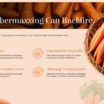FiberMaxxing Risks Slide - Four peach-badged cautions on bloating, constipation, and IBS flare-ups