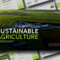 Plantilla de PowerPoint para Google Slides sobre agricultura sostenible: vista previa completa de 11 diapositivas que muestra un sistema de diseño en verde y blanco.