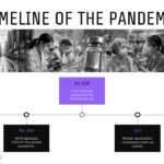 Covid 19 Study Lesson Template - Pandemic Timeline Slide