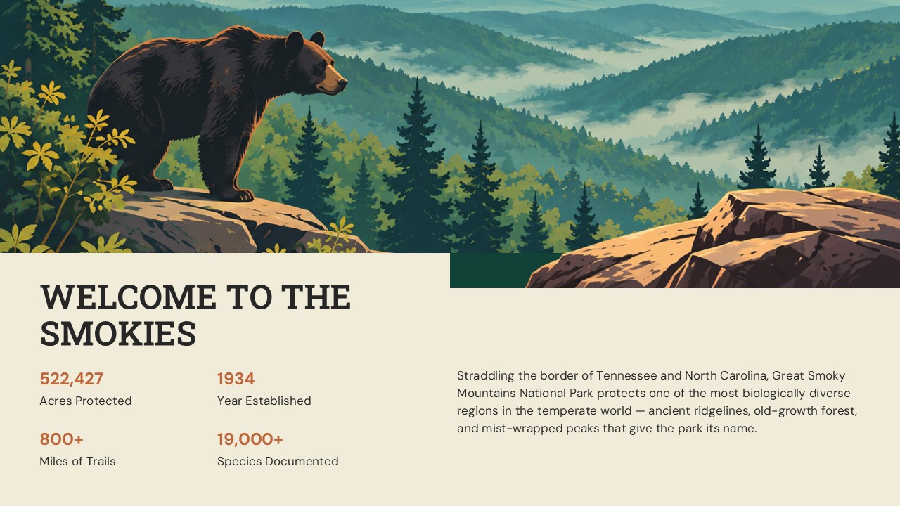 Great Smoky Mountains National Park Google Slides Template – stats overview with illustrated bear scene and four key park facts in a grid