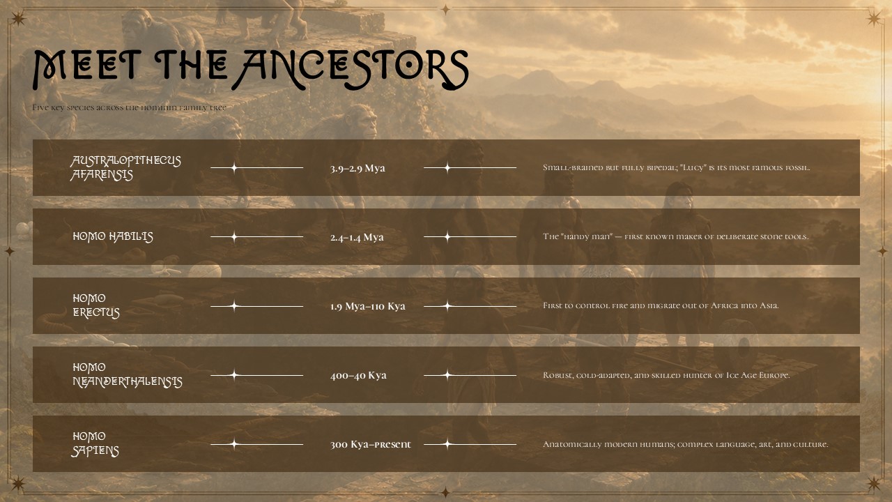 Human Evolution Template - four-column card grid showing Stone Tools, Fire, Symbolic Art, and Global Migration milestones with photorealistic images