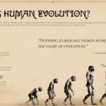 Human Evolution Template - six-column hominin timeline from Sahelanthropus to Homo Sapiens with Renaissance-style portrait illustrations
