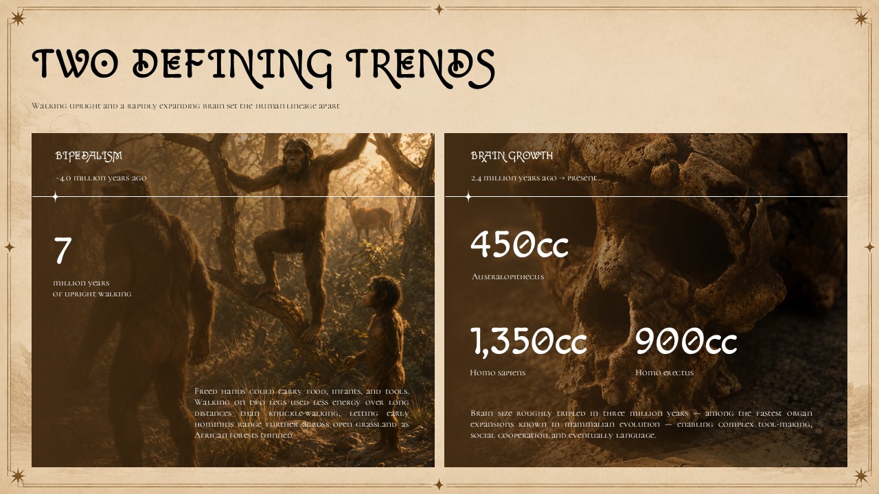 Human Evolution Template - dark cinematic reference table listing five hominin species with date ranges and one-line descriptions