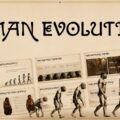 Human Evolution Presentation Template - cinematic cover slide with prehistoric human, golden-amber background, ornate title typography