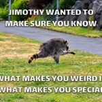 Jimothy The Raccoon Character Profile Template - Meme-style inspirational quote slide with raccoon running on grass