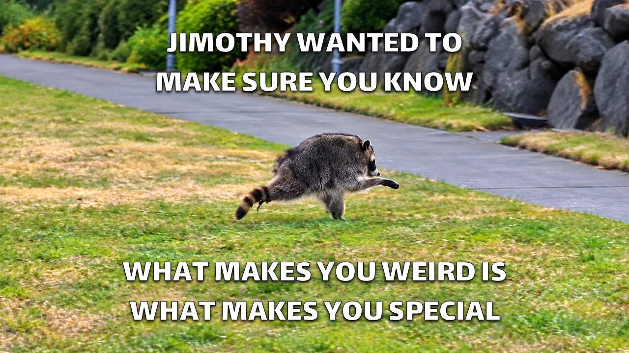 Jimothy The Raccoon Character Profile Template - Meme-style inspirational quote slide with raccoon running on grass