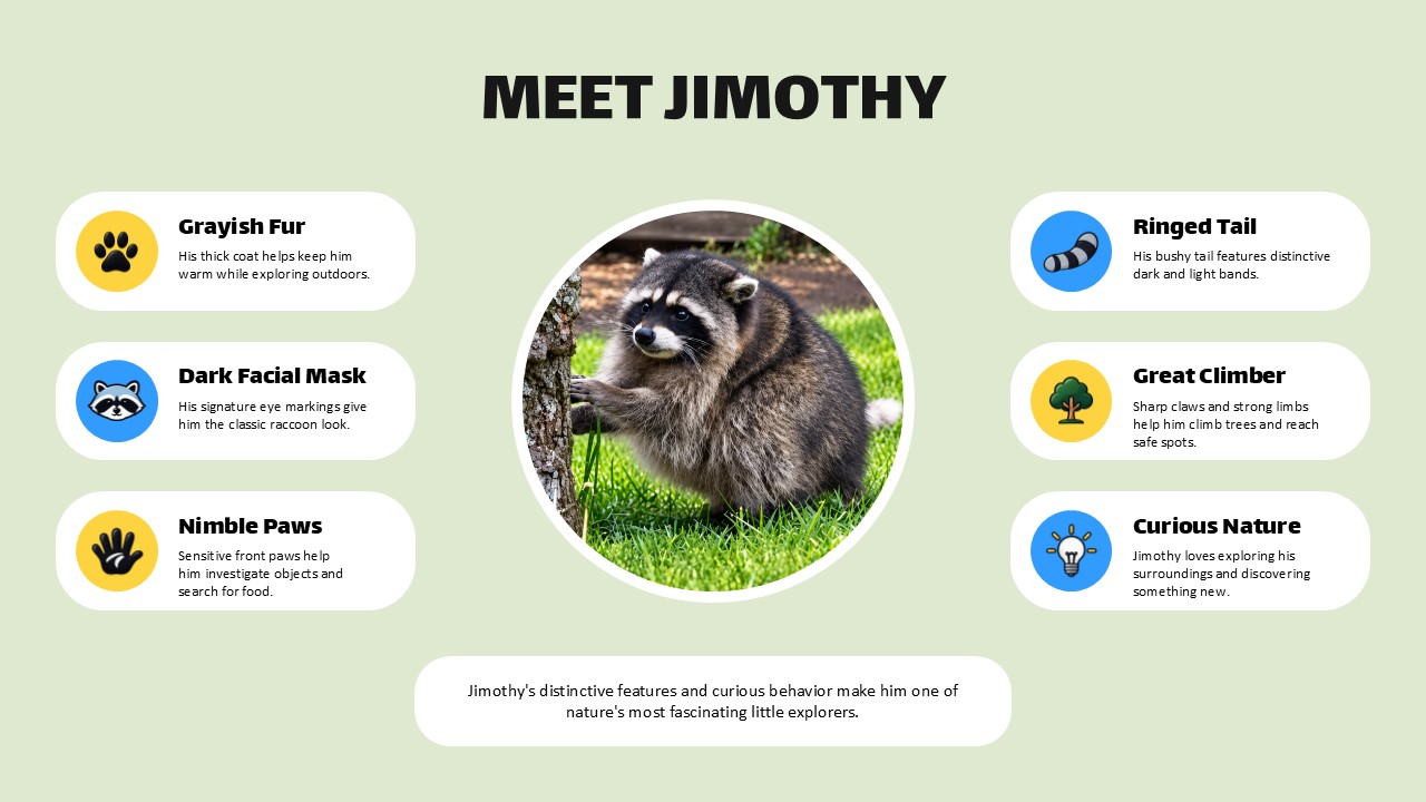 Jimothy The Raccoon Google Slides Template - Hub-and-spoke character profile infographic on sage green background