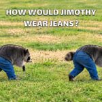 Jimothy The Raccoon Meme Template - Two raccoons in denim jeans walking across a grass field humor slide
