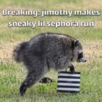 Jimothy The Raccoon Dune Parody Template - Raccoon as Jimothee Chalamet in RACUNE movie poster desert scene
