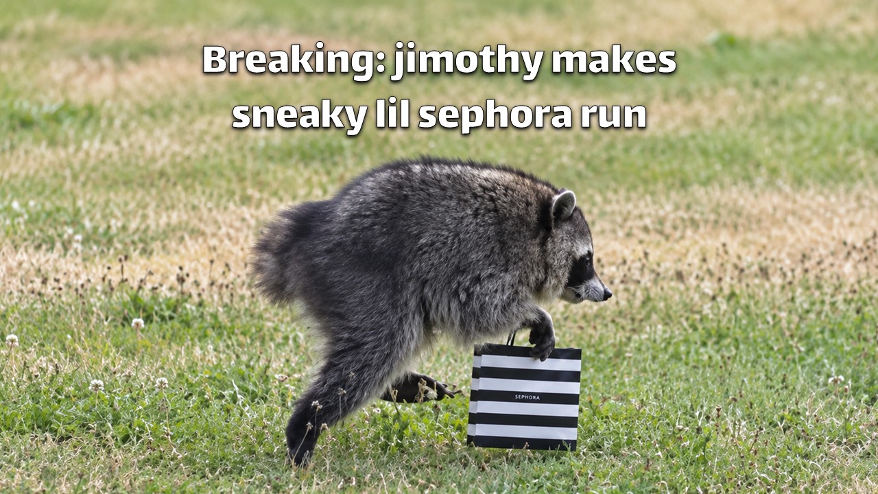 Jimothy The Raccoon Dune Parody Template - Raccoon as Jimothee Chalamet in RACUNE movie poster desert scene