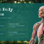 Life Science Template - Adaptations slide to showcase six survival traits of animals and plants with photos
