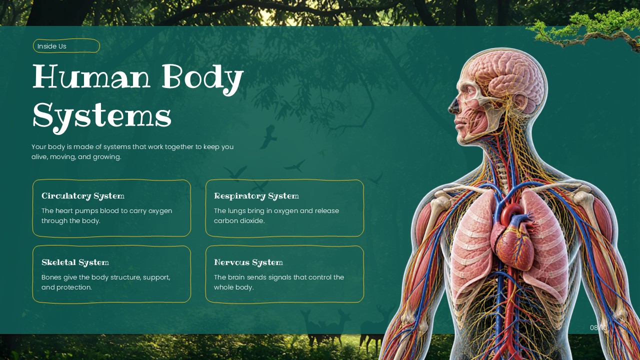Life Science Template - Adaptations slide to showcase six survival traits of animals and plants with photos