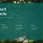Life Science Template - Butterfly metamorphosis cycle diagram to teach animal life cycle stages visually
