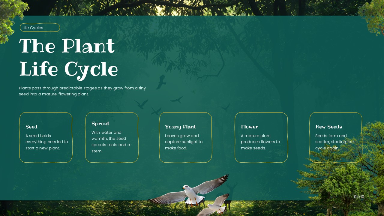 Life Science Template - Butterfly metamorphosis cycle diagram to teach animal life cycle stages visually
