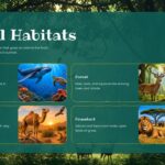 Life Science Template - Food chain diagram slide to explain energy flow across five trophic levels in nature