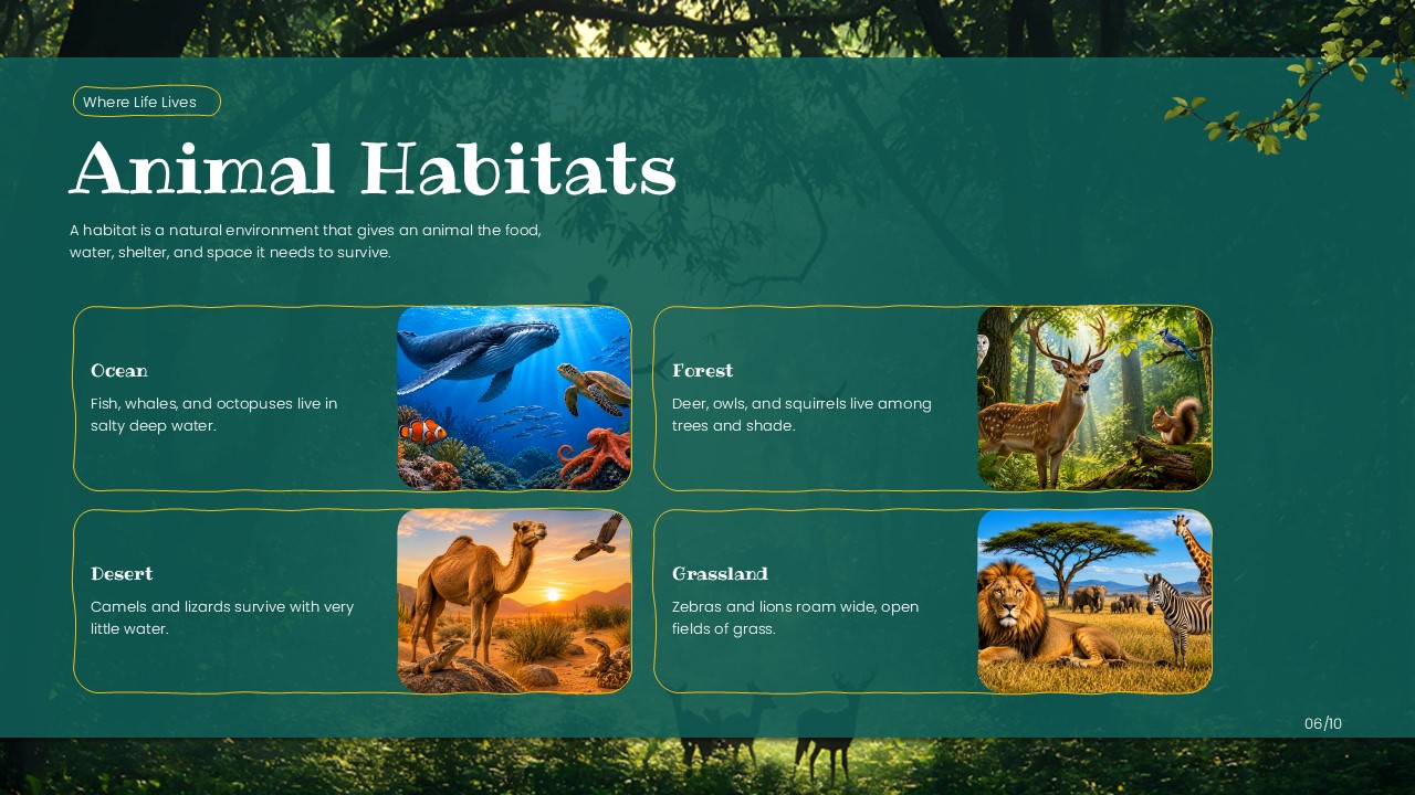 Life Science Template - Food chain diagram slide to explain energy flow across five trophic levels in nature