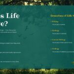 Life Science Template - Comparison slide to distinguish living vs. non-living things for elementary science lessons