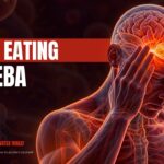 Brain Eating Amoeba Template - Definition slide to explain what Naegleria fowleri is to your audience
