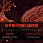 Brain Eating Amoeba Template - Conclusion slide to reinforce key safety messages before closing