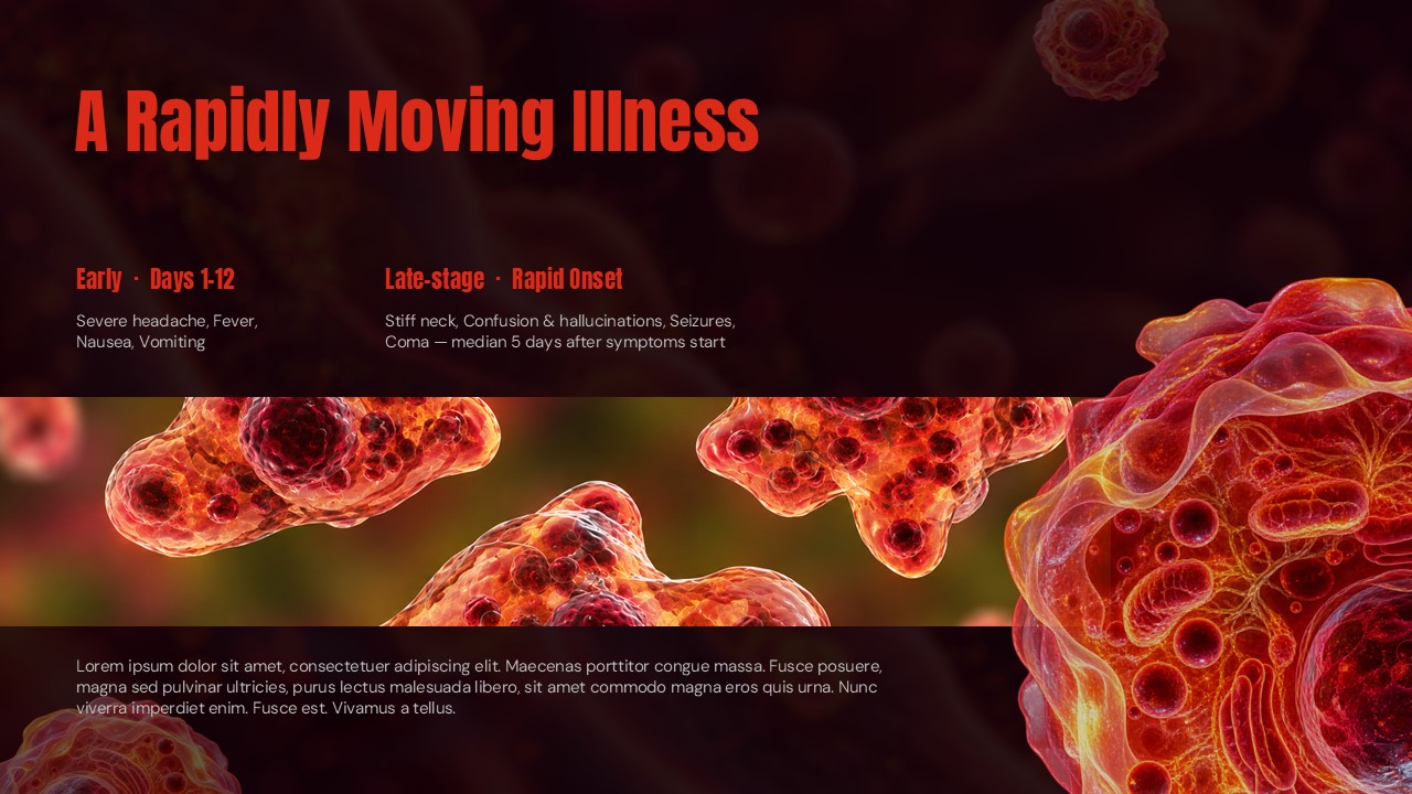 Brain Eating Amoeba Template - Risk groups slide to identify who is most vulnerable to infection