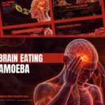 Brain Eating Amoeba Template - Cover slide to open science or public health presentations dramatically