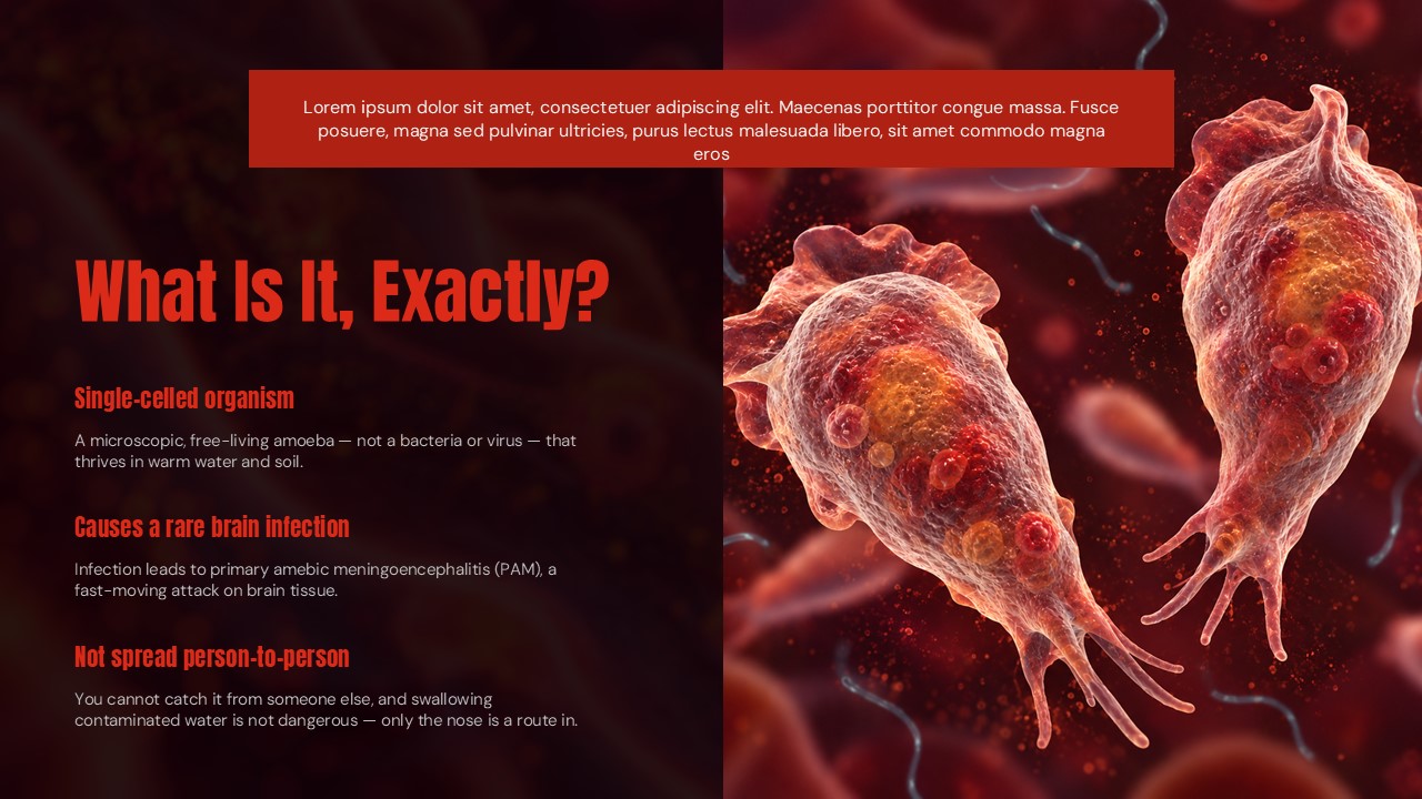 Brain Eating Amoeba Template - Habitat slide to show where Naegleria fowleri lives and thrives
