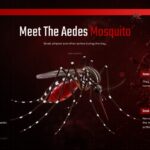 Dengue Fever Template - Aedes aegypti mosquito profile slide with four-quadrant habitat and behavior facts
