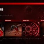 Dengue Fever Template - Transmission cycle slide showing four-step process flow with photographic panels