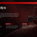 Dengue Fever Template - What is dengue slide with mosquito photo and three fact boxes on dark background