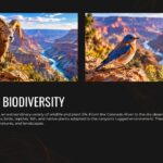 Grand Canyon Wildlife Biodiversity - two-photo slide with ecology text
