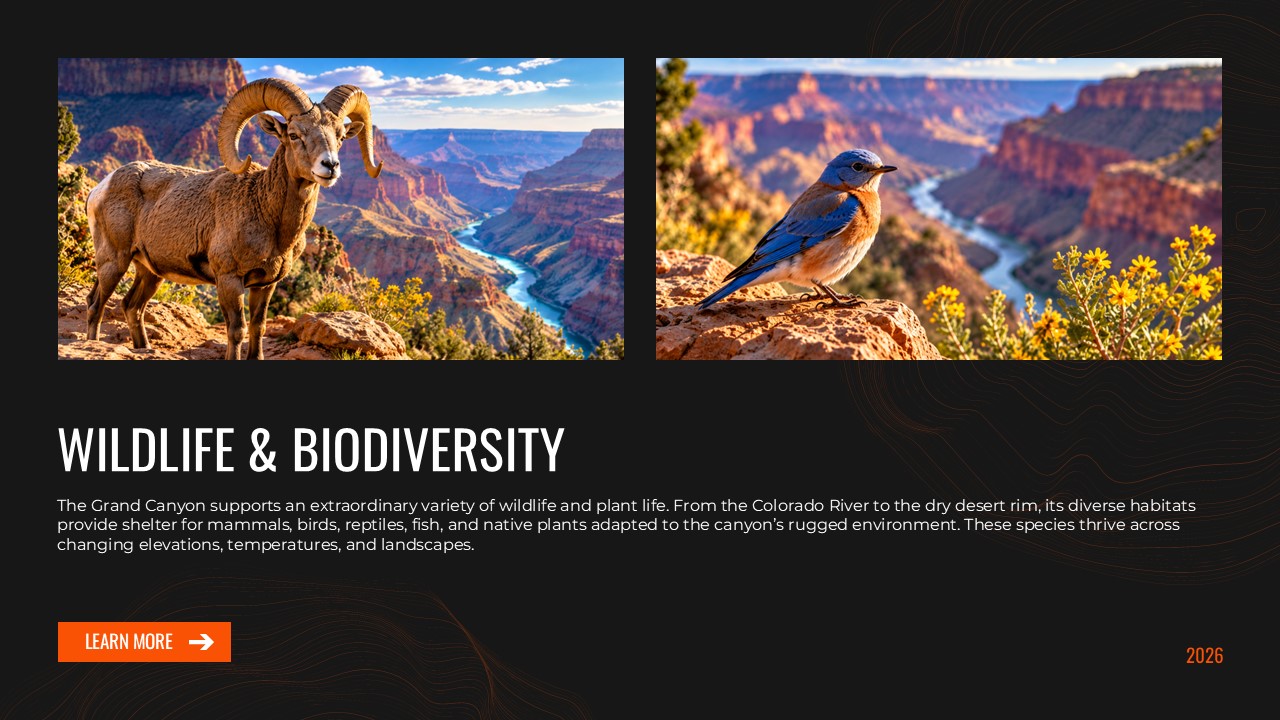 Grand Canyon Wildlife Biodiversity - two-photo slide with ecology text