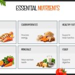 Healthy Eating Essential Nutrients Slide - six bordered cards in a 2x3 grid showcasing nutrient categories with food imagery