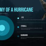 Hurricanes Template - concentric circle anatomy diagram showing Eye, Eyewall, and Rainbands hurricane zones