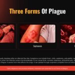 Plague Warning Russia - transmission pathways slide