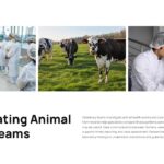 Shamonda Virus Template - coordinating animal health teams slide