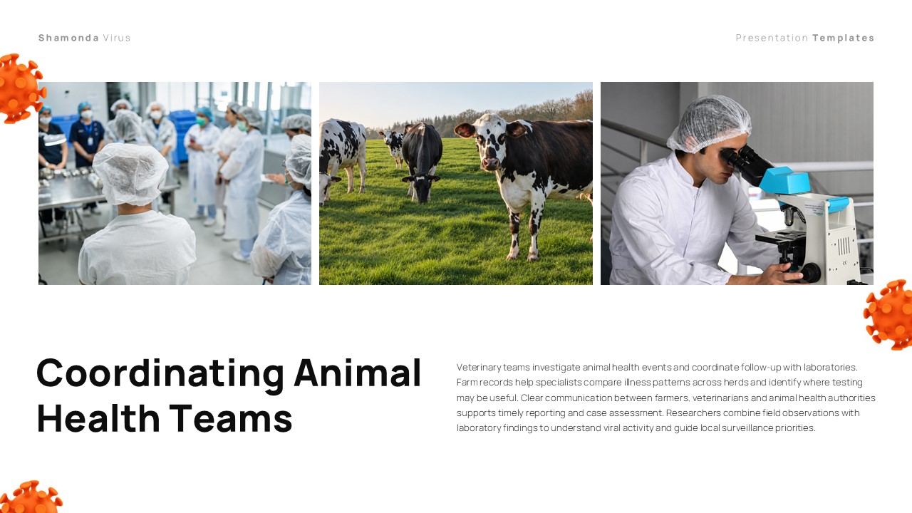 Shamonda Virus Template - coordinating animal health teams slide