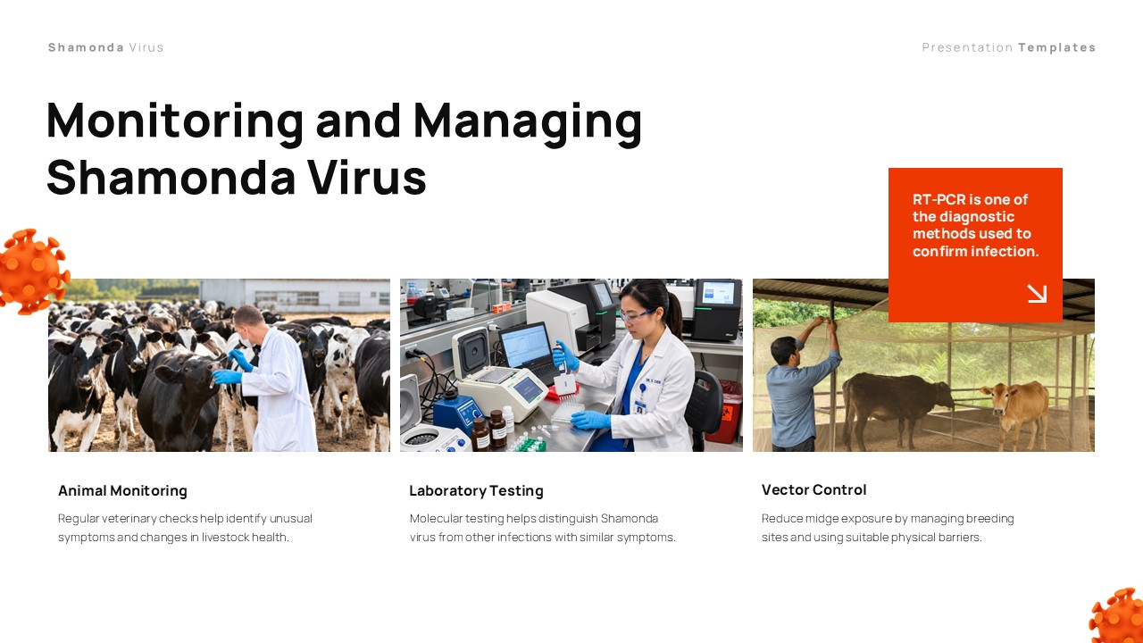 Shamonda Virus Template - monitoring and managing three-column strategy