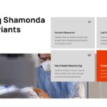 Shamonda Virus Template - studying variants four-point research grid