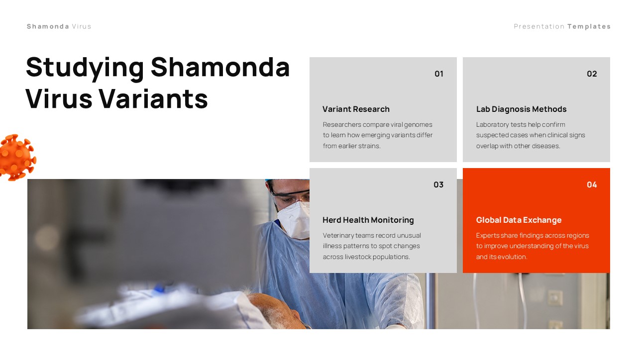 Shamonda Virus Template - studying variants four-point research grid