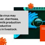 Shamonda Virus Template - symptoms impact statement, zero vaccines