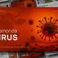 Shamonda Virus PowerPoint & Google Slides Template preview