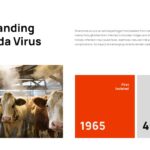 Shamonda Virus Template - understanding overview with key stats